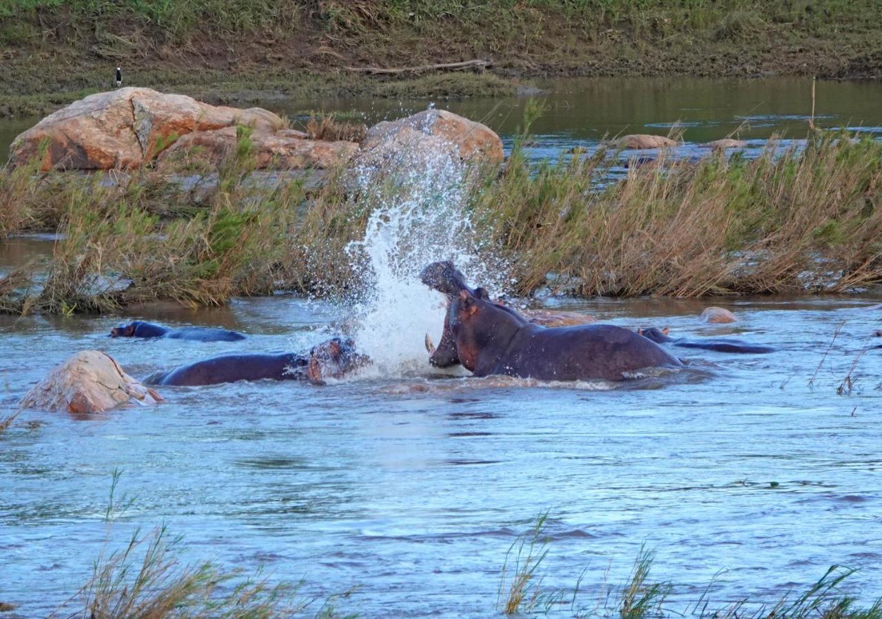 Kruger River Holiday Home Marloth Park Zewnętrze zdjęcie