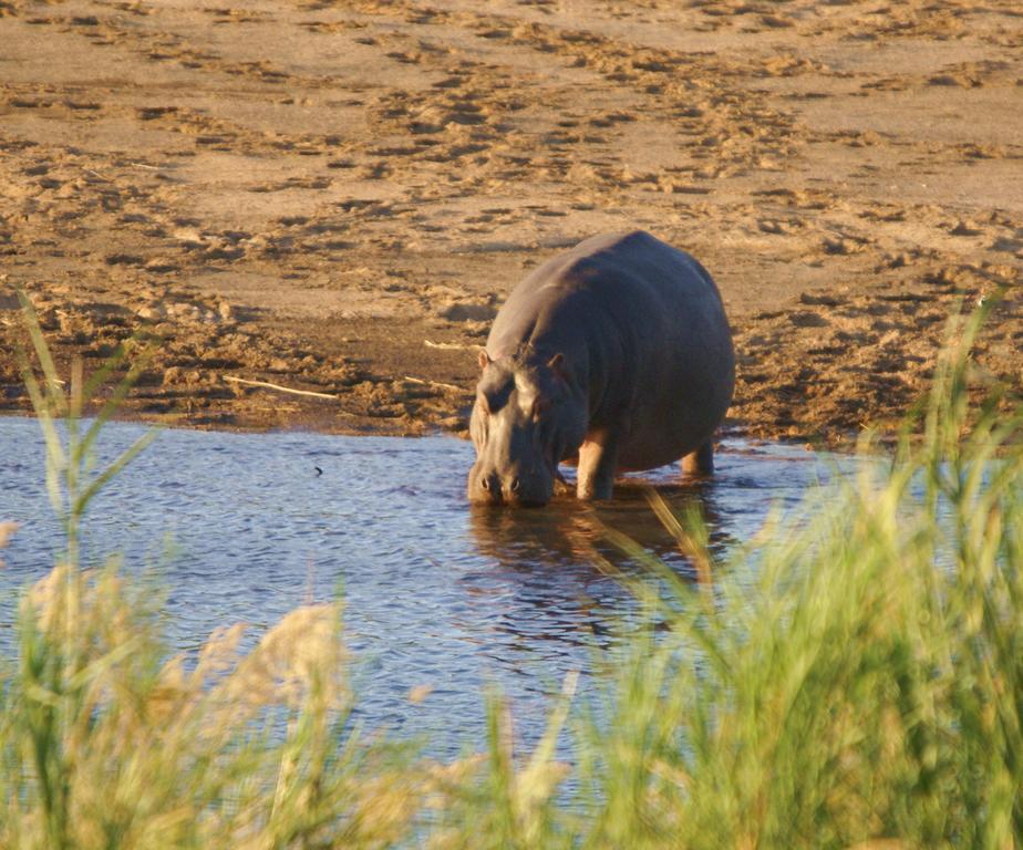 Kruger River Holiday Home Marloth Park Zewnętrze zdjęcie
