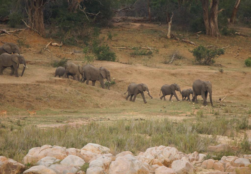 Kruger River Holiday Home Marloth Park Zewnętrze zdjęcie